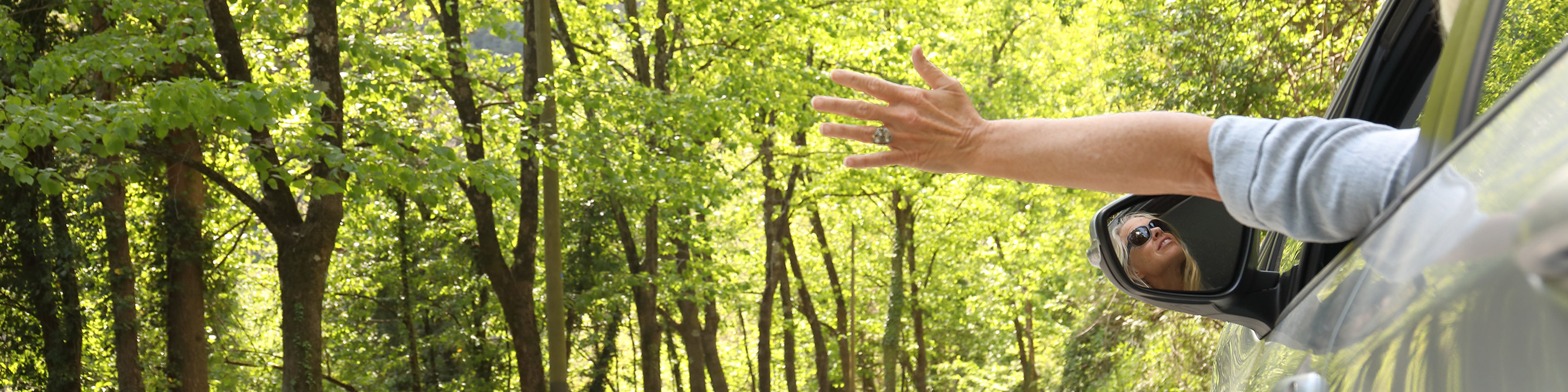 Auto fährt durch den Wald