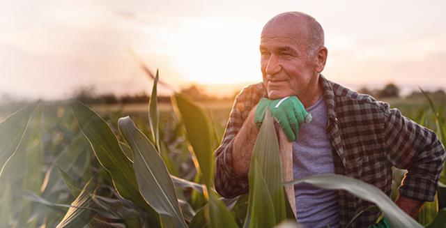 Landwirtschaftliche-Rechtsschutzversicherung-Mann auf einem Feld