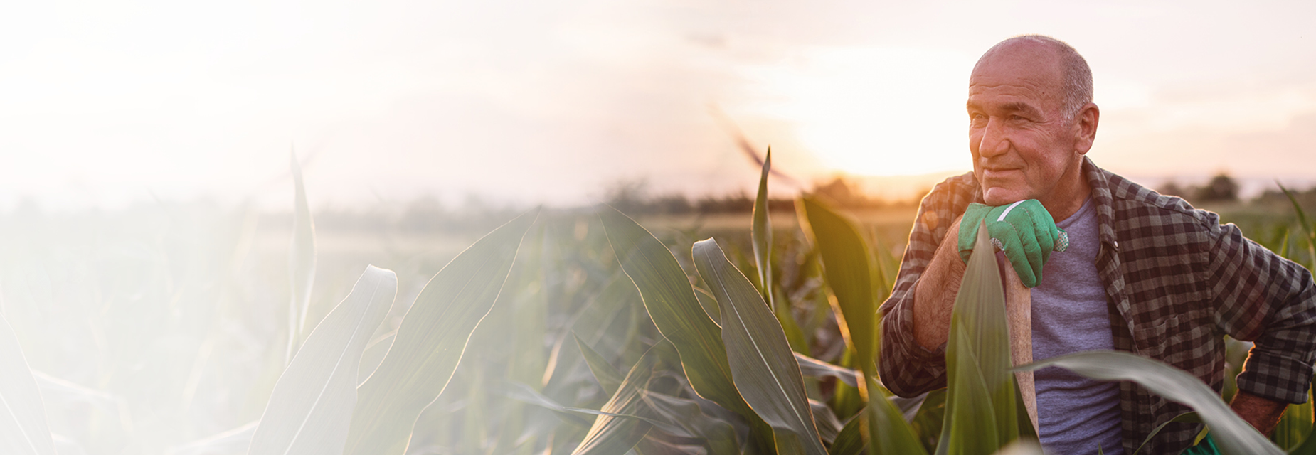 rechtsschutz-versicherungen-firmen-gewerbe-oerag_landwirte_1850x640px