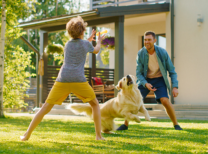 Haus- und Grundbesitzerhaftpflicht - Vater und Sohn spielen mit Hund