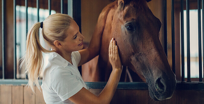 Pferd mit Frau im Stall