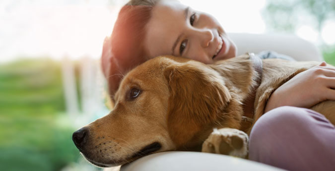 Tierhalterhaftpflicht - Frau liegt mit Hund auf dem Sofa