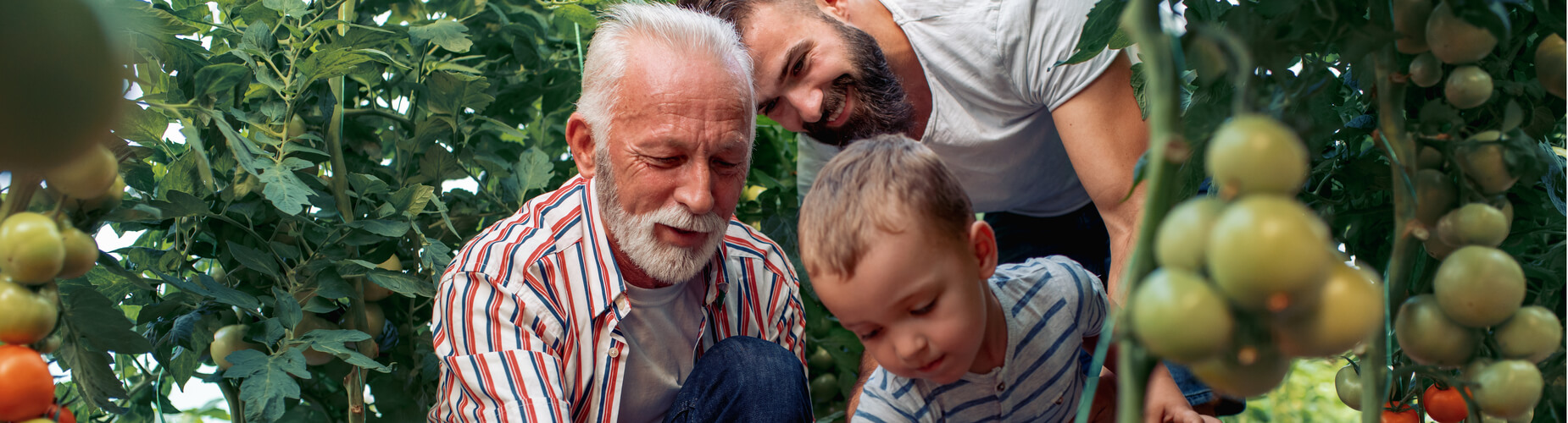 Opa mit Vater und Sohn im Garten