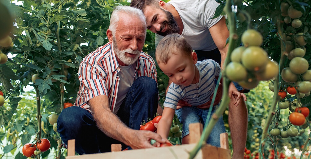 Opa mit Vater und Sohn im Garten