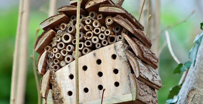 Insektenhotel